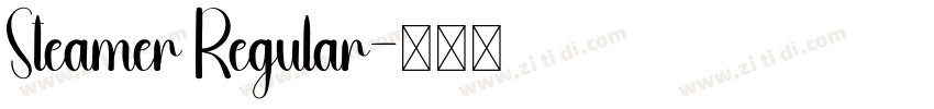 Steamer Regular字体转换